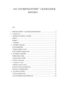 2025-2030物聯(lián)網(wǎng)技術(shù)營銷推廣與商業(yè)模式創(chuàng)新戰(zhàn)略研究報(bào)告