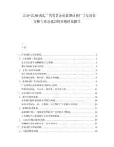 2025-2030西南廣告營(yíng)銷企業(yè)新媒體推廣手段效果分析與市場(chǎng)化發(fā)展策略研究報(bào)告