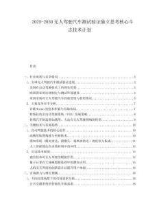 2025-2030無人駕駛汽車測試驗證獨立思考核心斗志技術計劃