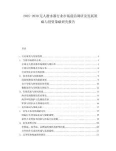 2025-2030無人潛水器行業(yè)市場前沿調(diào)研及發(fā)展策略與投資策略研究報(bào)告