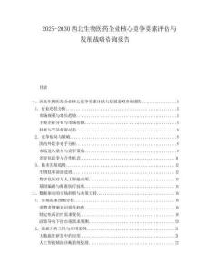 2025-2030西北生物醫(yī)藥企業(yè)核心競(jìng)爭(zhēng)要素評(píng)估與發(fā)展戰(zhàn)略咨詢報(bào)告