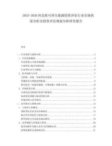 2025-2030西北歐可再生能源投資評估行業(yè)市場供需分析及投資評估規(guī)劃分析研究報告