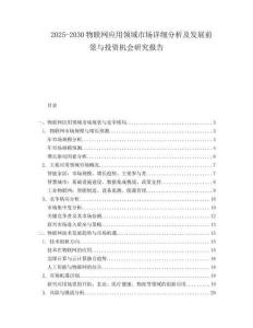 2025-2030物聯(lián)網(wǎng)應(yīng)用領(lǐng)域市場(chǎng)詳細(xì)分析及發(fā)展前景與投資機(jī)會(huì)研究報(bào)告