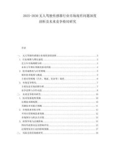 2025-2030無(wú)人駕駛傳感器行業(yè)市場(chǎng)現(xiàn)有問(wèn)題深度剖析及未來(lái)競(jìng)爭(zhēng)格局研究
