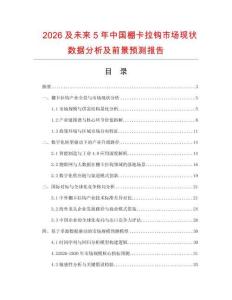 2026及未來5年中國棚卡拉鉤市場現狀數據分析及前景預測報告