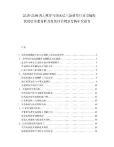 2025-2030西北歐參與國光伏電池儲能行業(yè)市場現(xiàn)狀供給需求分析及投資評估規(guī)劃分析研究報告