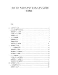 2025-2030西南亞天然氣開發(fā)市場機遇與風(fēng)險管控方案概述