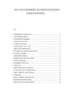 2025-2030西南新能源行業(yè)市場供需分析及投資評估規(guī)劃分析研究報告