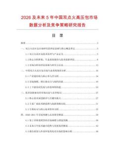 2026及未來5年中國雙點火高壓包市場數據分析及競爭策略研究報告