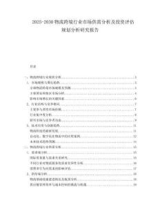 2025-2030物流跨境行業(yè)市場供需分析及投資評估規(guī)劃分析研究報告