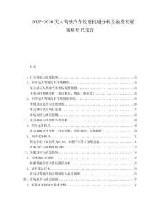 2025-2030無人駕駛汽車投資機(jī)遇分析及融資發(fā)展策略研究報告