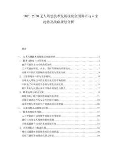 2025-2030無人駕駛技術(shù)發(fā)展現(xiàn)狀全面調(diào)研與未來趨勢及戰(zhàn)略規(guī)劃分析