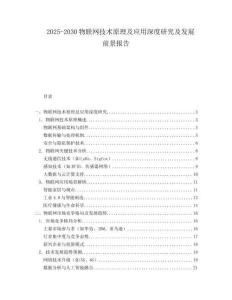 2025-2030物聯(lián)網(wǎng)技術(shù)原理及應(yīng)用深度研究及發(fā)展前景報(bào)告