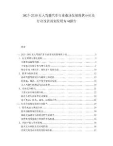 2025-2030無人駕駛汽車行業(yè)市場發(fā)展現(xiàn)狀分析及行業(yè)投資規(guī)劃發(fā)展方向報告