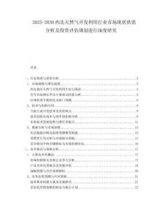 2025-2030西北天然氣開發(fā)利用行業(yè)市場現(xiàn)狀供需分析及投資評估規(guī)劃進行深度研究