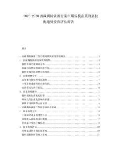 2025-2030西藏獨(dú)特資源行業(yè)市場(chǎng)規(guī)模產(chǎn)業(yè)發(fā)展技術(shù)趨勢(shì)投資評(píng)估報(bào)告