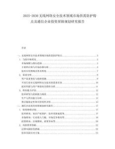 2025-2030無線網(wǎng)絡(luò)安全技術(shù)領(lǐng)域市場供需防護(hù)特點(diǎn)及通信企業(yè)投資屏障規(guī)劃研究報告