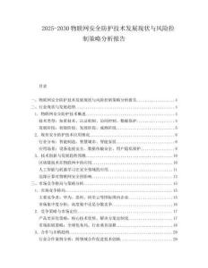 2025-2030物聯(lián)網(wǎng)安全防護(hù)技術(shù)發(fā)展現(xiàn)狀與風(fēng)險控制策略分析報告
