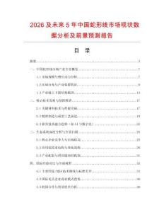 2026及未來5年中國蛇形線市場(chǎng)現(xiàn)狀數(shù)據(jù)分析及前景預(yù)測(cè)報(bào)告