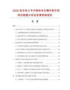 2026及未來5年中國收毛孔精華素市場現(xiàn)狀數(shù)據(jù)分析及前景預測報告