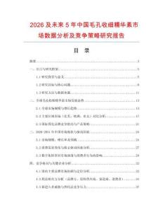 2026及未來5年中國毛孔收細精華素市場數(shù)據(jù)分析及競爭策略研究報告