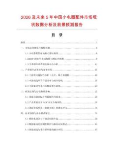 2026及未來(lái)5年中國(guó)小電器配件市場(chǎng)現(xiàn)狀數(shù)據(jù)分析及前景預(yù)測(cè)報(bào)告