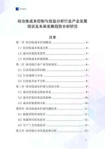 硅冶煉成本控制與效益分析行業(yè)產(chǎn)業(yè)發(fā)展現(xiàn)狀及未來發(fā)展趨勢分析研究