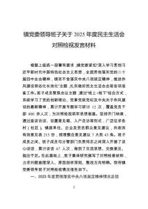 鎮黨委領導班子關于2025年度民主生活會對照檢視發言材料