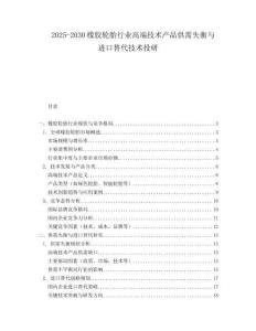 2025-2030橡膠輪胎行業(yè)高端技術(shù)產(chǎn)品供需失衡與進口替代技術(shù)投研