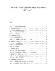 2025-2030消費(fèi)品跨境電商發(fā)展壁壘突破與海外市場開拓分析