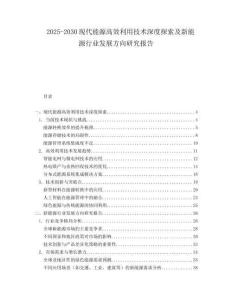 2025-2030現(xiàn)代能源高效利用技術(shù)深度探索及新能源行業(yè)發(fā)展方向研究報(bào)告