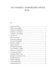 2025-2030錫錠加工企業(yè)融資模式創(chuàng)新與國際化發(fā)展導(dǎo)航