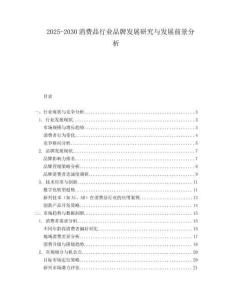 2025-2030消費(fèi)品行業(yè)品牌發(fā)展研究與發(fā)展前景分析