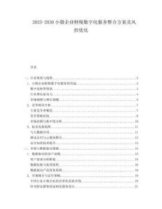 2025-2030小微企業(yè)財(cái)稅數(shù)字化服務(wù)整合方案及風(fēng)控優(yōu)化