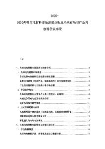 2025-2030先鋒電池材料市場深度分析及未來布局與產(chǎn)業(yè)升級路徑議事錄