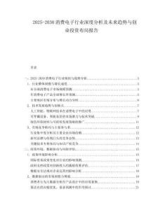 2025-2030消費電子行業(yè)深度分析及未來趨勢與創(chuàng)業(yè)投資布局報告
