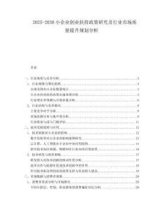 2025-2030小企業(yè)創(chuàng)業(yè)扶持政策研究及行業(yè)市場(chǎng)質(zhì)量提升規(guī)劃分析
