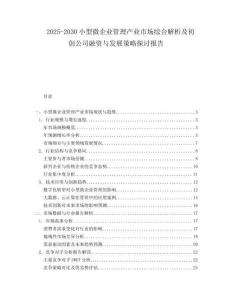 2025-2030小型微企業(yè)管理產(chǎn)業(yè)市場綜合解析及初創(chuàng)公司融資與發(fā)展策略探討報告