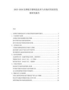 2025-2030先鋒航空器制造技術(shù)與市場應(yīng)用前景發(fā)展研究報(bào)告