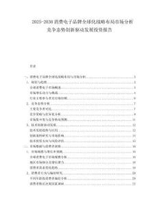 2025-2030消費(fèi)電子品牌全球化戰(zhàn)略布局市場分析競爭態(tài)勢創(chuàng)新驅(qū)動發(fā)展投資報告