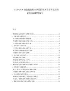 2025-2030橡膠輪胎行業(yè)風(fēng)險(xiǎn)投資環(huán)境分析及投資融資方向轉(zhuǎn)型規(guī)劃