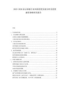 2025-2030顯示面板行業(yè)風(fēng)險(xiǎn)投資發(fā)展分析及投資融資策略研究報(bào)告