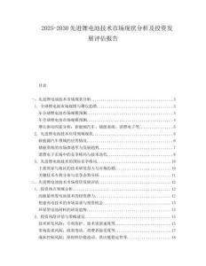 2025-2030先進(jìn)鋰電池技術(shù)市場(chǎng)現(xiàn)狀分析及投資發(fā)展評(píng)估報(bào)告