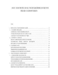 2025-2030鞋類行業(yè)電子商務(wù)發(fā)展策略及市場空間預(yù)估值與發(fā)展研究報(bào)告