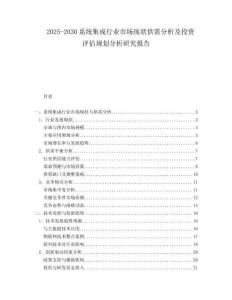 2025-2030系統(tǒng)集成行業(yè)市場現(xiàn)狀供需分析及投資評估規(guī)劃分析研究報告