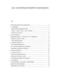 2025-2030鞋類制造供應(yīng)鏈管理行業(yè)現(xiàn)狀規(guī)劃評估