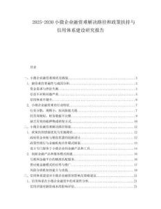 2025-2030小微企業(yè)融資難解決路徑和政策扶持與信用體系建設(shè)研究報(bào)告