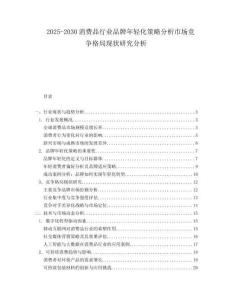 2025-2030消費(fèi)品行業(yè)品牌年輕化策略分析市場(chǎng)競(jìng)爭(zhēng)格局現(xiàn)狀研究分析