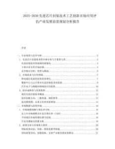 2025-2030先進(jìn)芯片封裝技術(shù)工藝創(chuàng)新市場(chǎng)應(yīng)用評(píng)估產(chǎn)業(yè)發(fā)展前景規(guī)劃分析報(bào)告