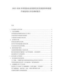 2025-2030鄉(xiāng)村旅游業(yè)態(tài)創(chuàng)新民宿發(fā)展游客體驗提升規(guī)劃項目評估調(diào)研報告